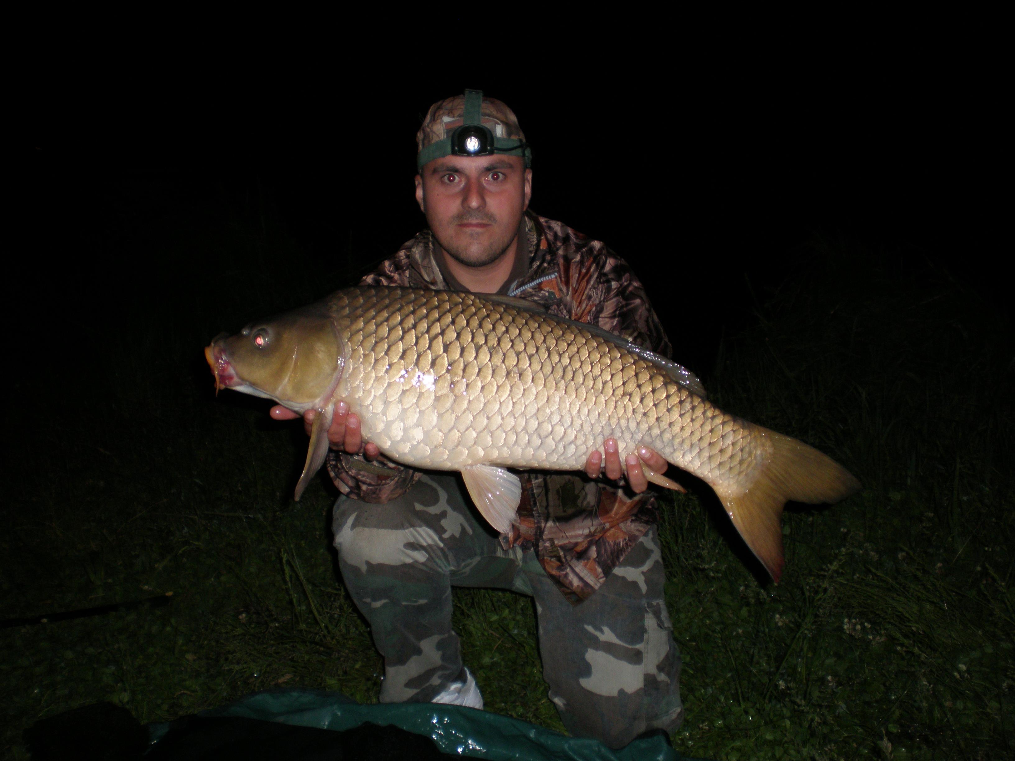 ccarp - P6030238.JPG